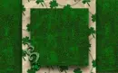 Green grass