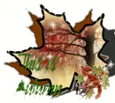 This is autumn
