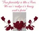 True  Friendship