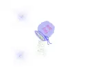 Fairy Dust