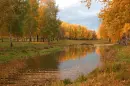 Autumn wood and the river