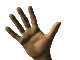 waving hi