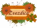 Zvezdica