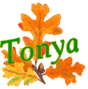 Autumn Leaves - Tonya