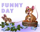Funny Day