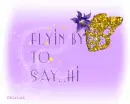 Flying by to say ...Hi