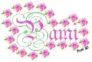 Pami - pink roses - spring