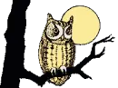 owl