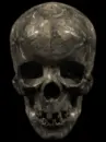 talking skull