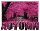 Pink autumn