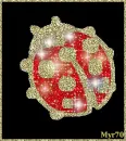 ladybug