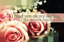 love ya