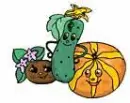 pumpkins & gourds