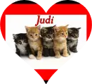 Kittens - Judi