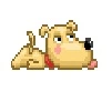 Thirsty dog