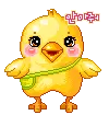 chick bird