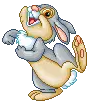 Happy Bunny