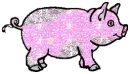 glitter pig