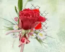 red rose