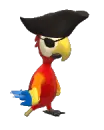 pirate parrot