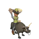 rodeo cowboy