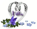 Hello