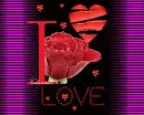 i love