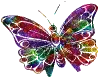 Buterfly