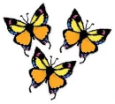 buterfly
