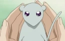 Fruits Basket