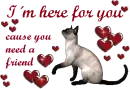 Katze