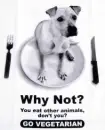 poor dog