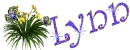 Lynn Lilies