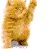 Kitty saying hi