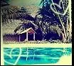 Paradise