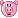 Mini Pig