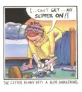rabbit slipper