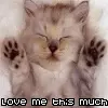 Love me this much