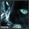 Meow