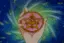 moon crystal power make-up!