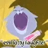 Evil kitty
