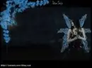 fairy