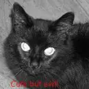 cute but evil