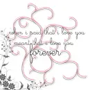 When I said that I love you I ment that I love you forever