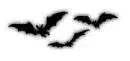 bats