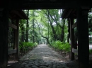 Walkway