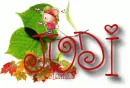 Judi