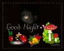 Good night