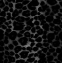 Black And Silver Zebra Print