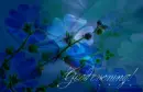 Good evening!